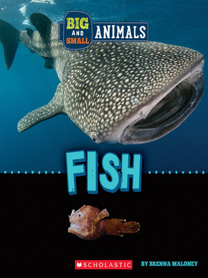 cover image of Fish (Wild World
